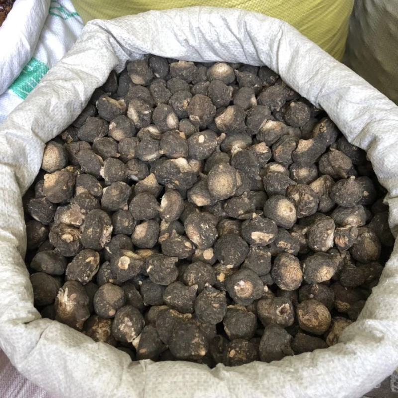 秘鲁玛卡整个的