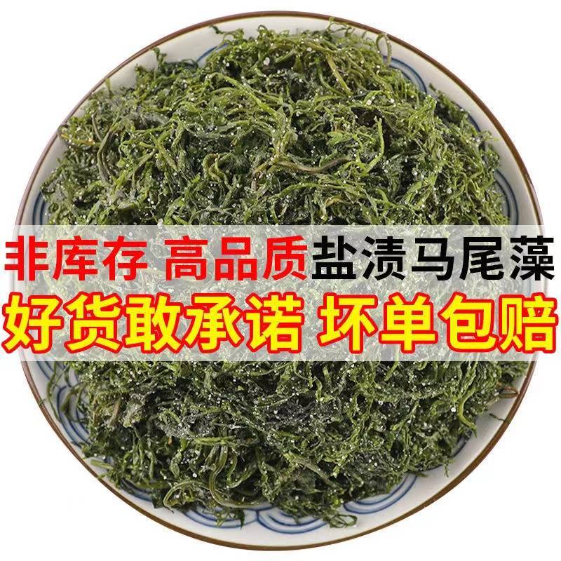 新鲜盐渍马尾藻龙须菜鞭炮竹羊栖菜碱性海藻长寿菜火锅食材