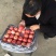 纸袋红富士苹果，陕西红富士价格，水晶红富士苹果批发