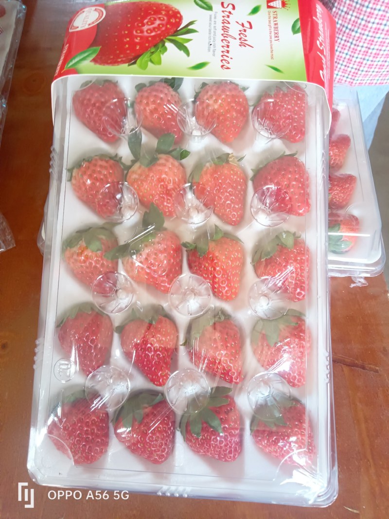 承接电商，市场批发，奶茶烘培！以精品果为标准，欢迎洽谈