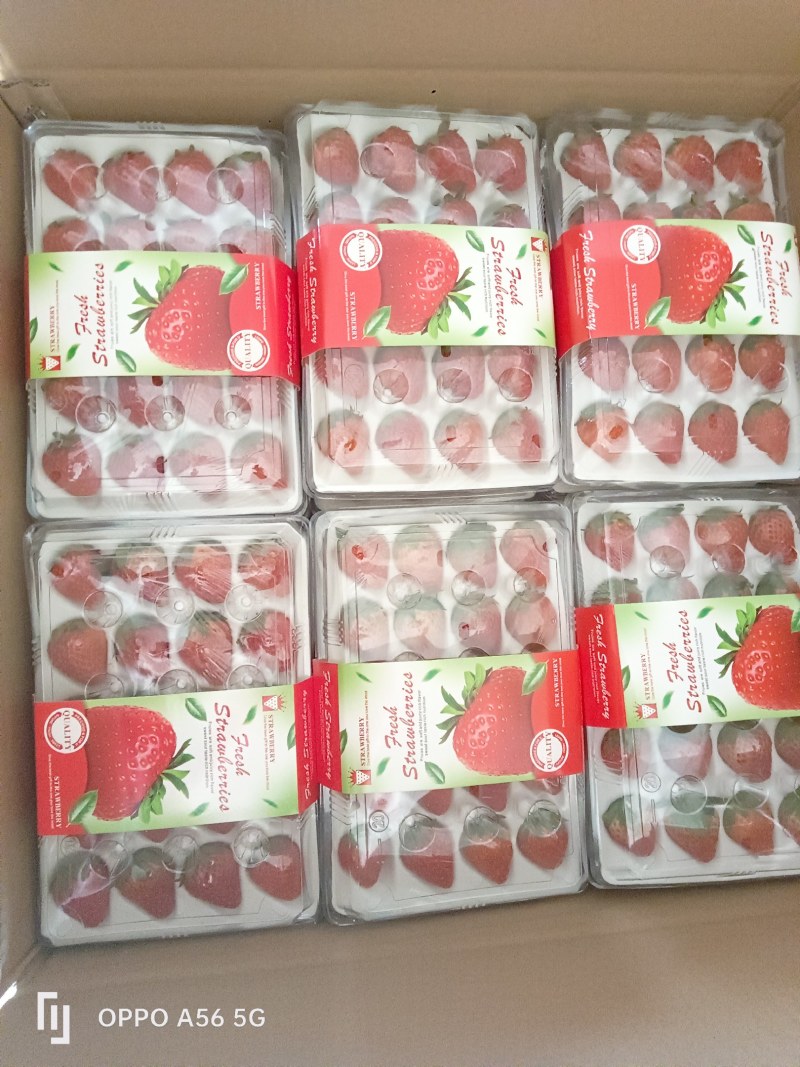 承接电商，市场批发，奶茶烘培！以精品果为标准，欢迎洽谈