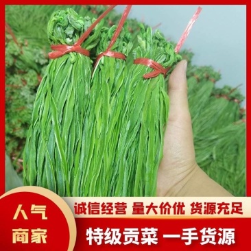 特级【贡菜】品质保证产地直销供应全国各地量大从优