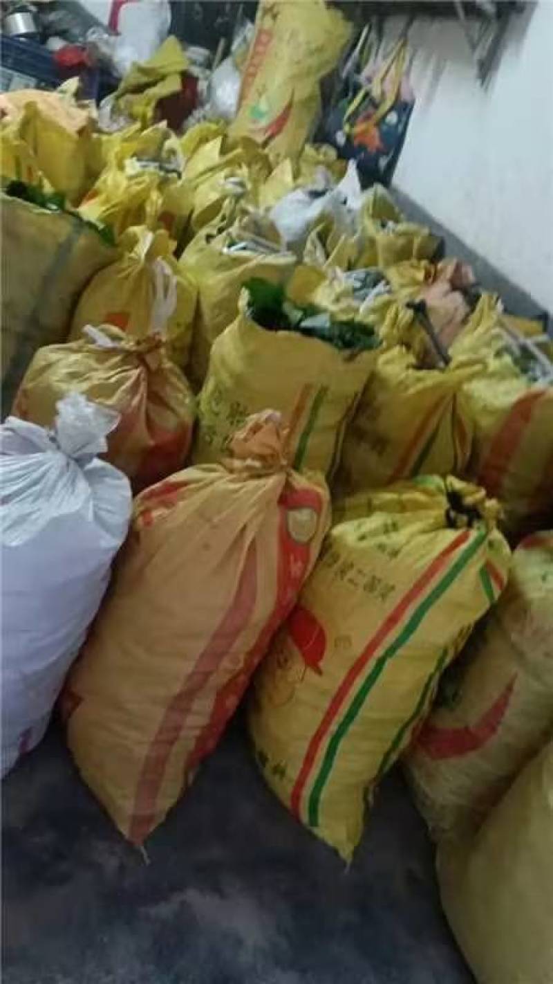 《牛商推荐》见血清干湿货库存充足量大从优欢迎老板选购