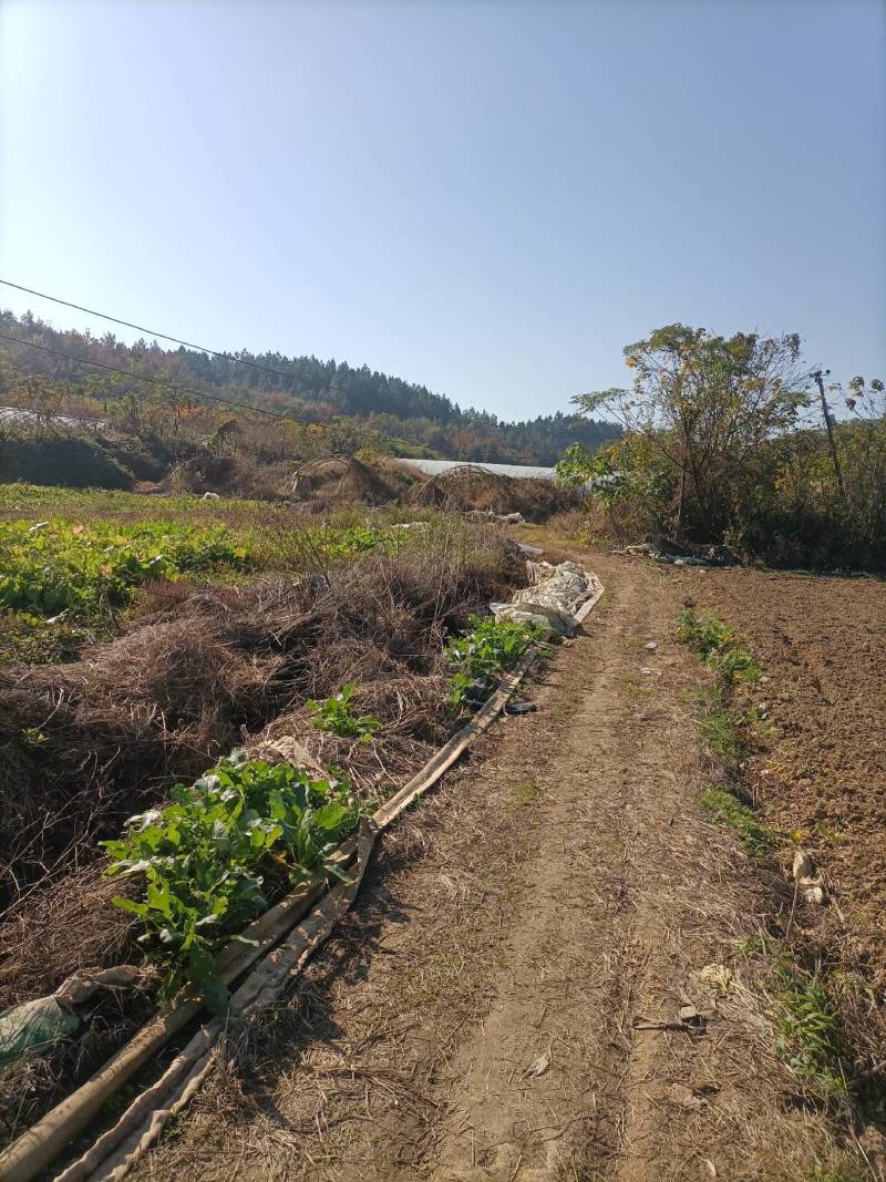 余干县大塘乡鄱湖湾农场