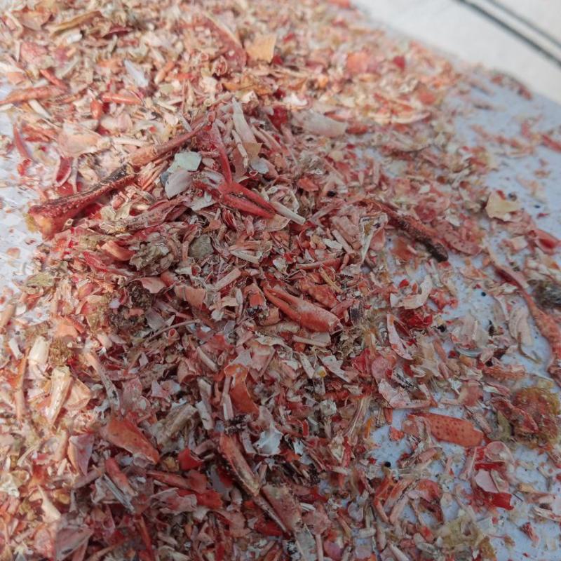龙虾粉海虾粉虾糠厂家出品质量保证