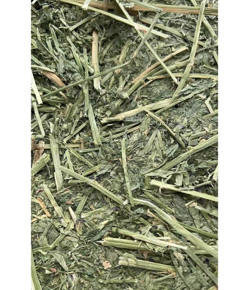 天津港苜蓿美草西草价格优惠可现场看货欢迎老板来电
