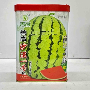 善高沙漠一号西瓜种子品种，大果西沙瓜品种，双红瓤种子