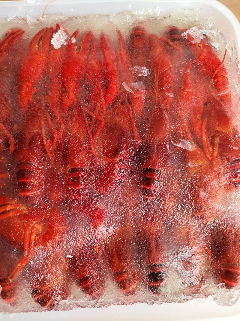 高品质液氮锁鲜清水小龙虾