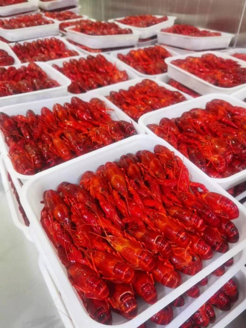 高品质液氮锁鲜清水小龙虾