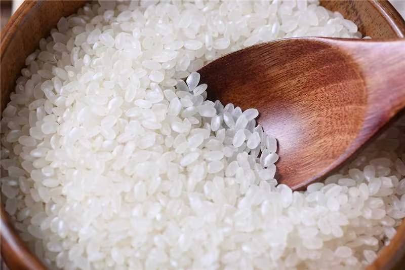 山药白扁豆粥成品图