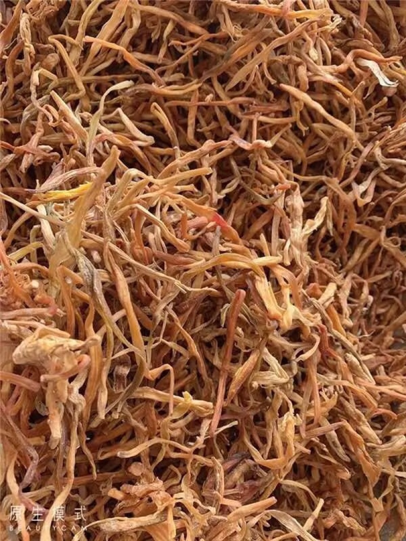 精品黄花菜大量有货，产地直发，保质保量，欢迎选购