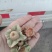 青柿蒂颜色好