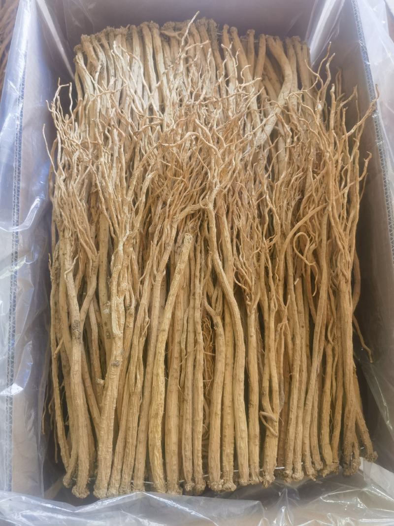 无硫党参全干货甘肃岷县白条党参产地直供质量保证