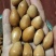 银杏果白果