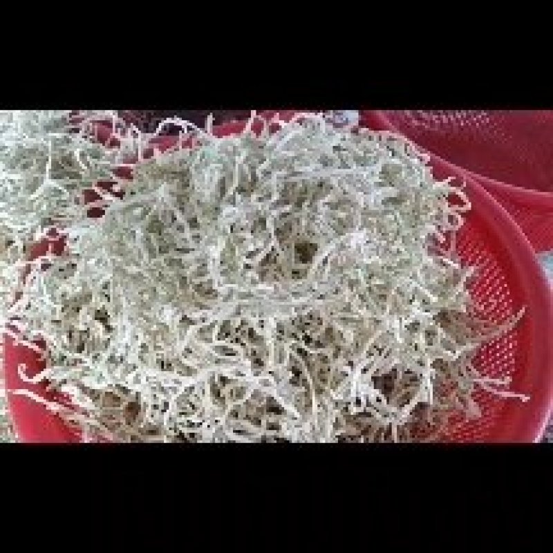 木瓜丝