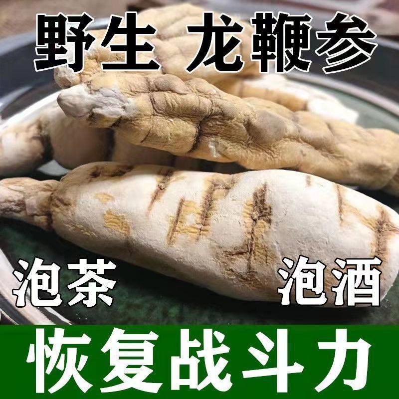 【顶天参】龙鞭参白首乌阳鞭参回春草泡酒持久泡茶
