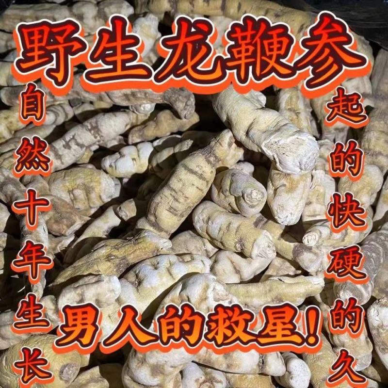 【顶天参】龙鞭参白首乌阳鞭参回春草泡酒持久泡茶
