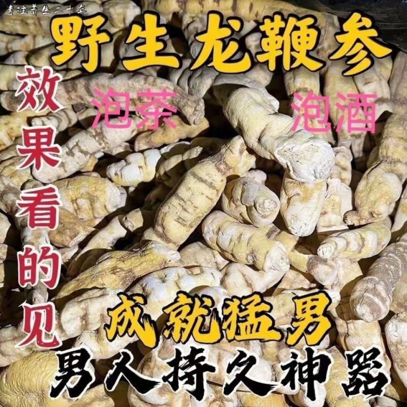 【顶天参】龙鞭参白首乌阳鞭参回春草泡酒持久泡茶