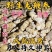 【顶天参】龙鞭参白首乌阳鞭参回春草泡酒持久泡茶