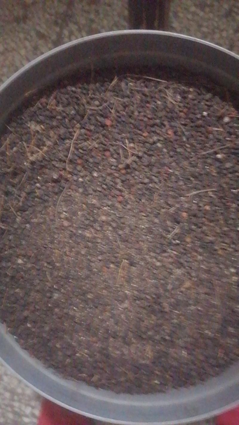 粉防几种子