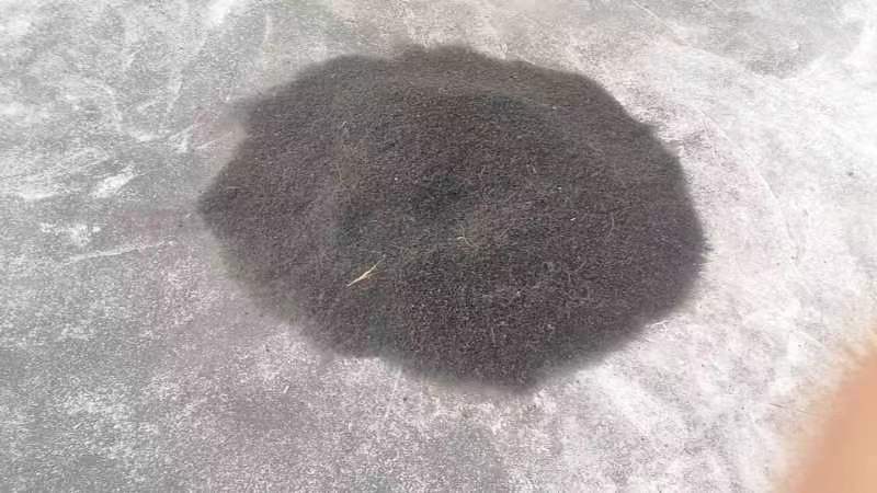 粉防几种子