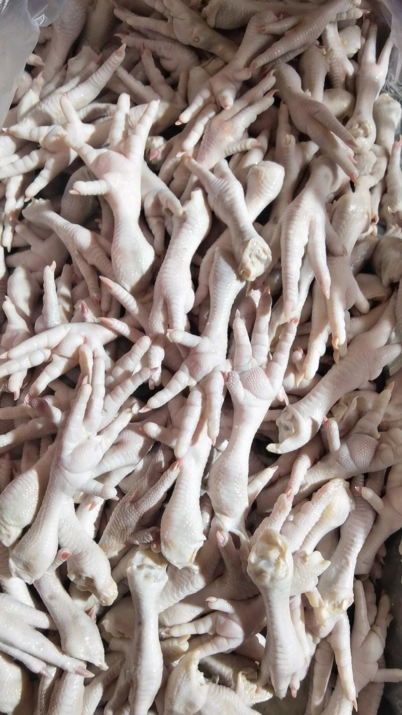 鸡脚凤爪加工厂常年有货鸡脚鸡脚鸡脚30-40-50