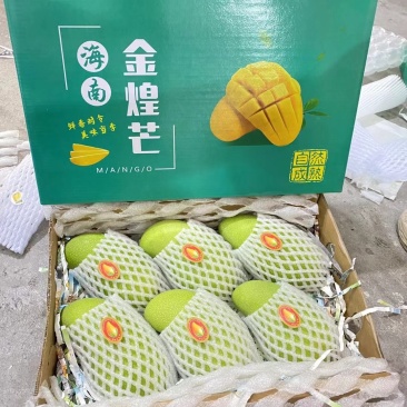 金煌芒大量上市可发一件代发