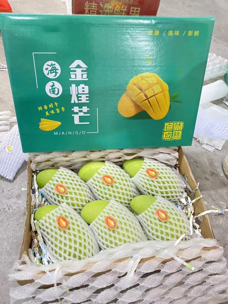 金煌芒大量上市可发一件代发