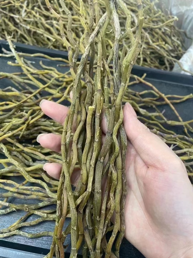 铁皮石斛干条胶多渣少防野生石斛4年生品质上乘