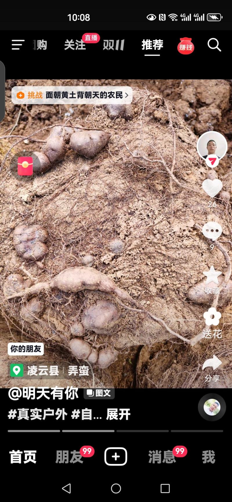 三叶青鲜果统货质量扛扛