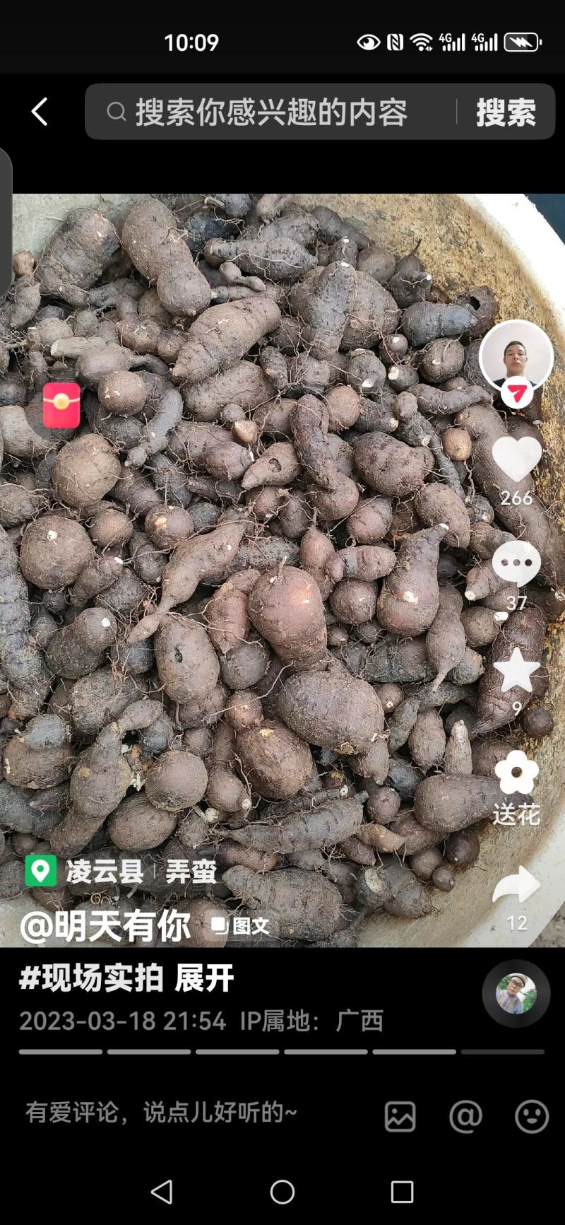 三叶青鲜果统货质量扛扛