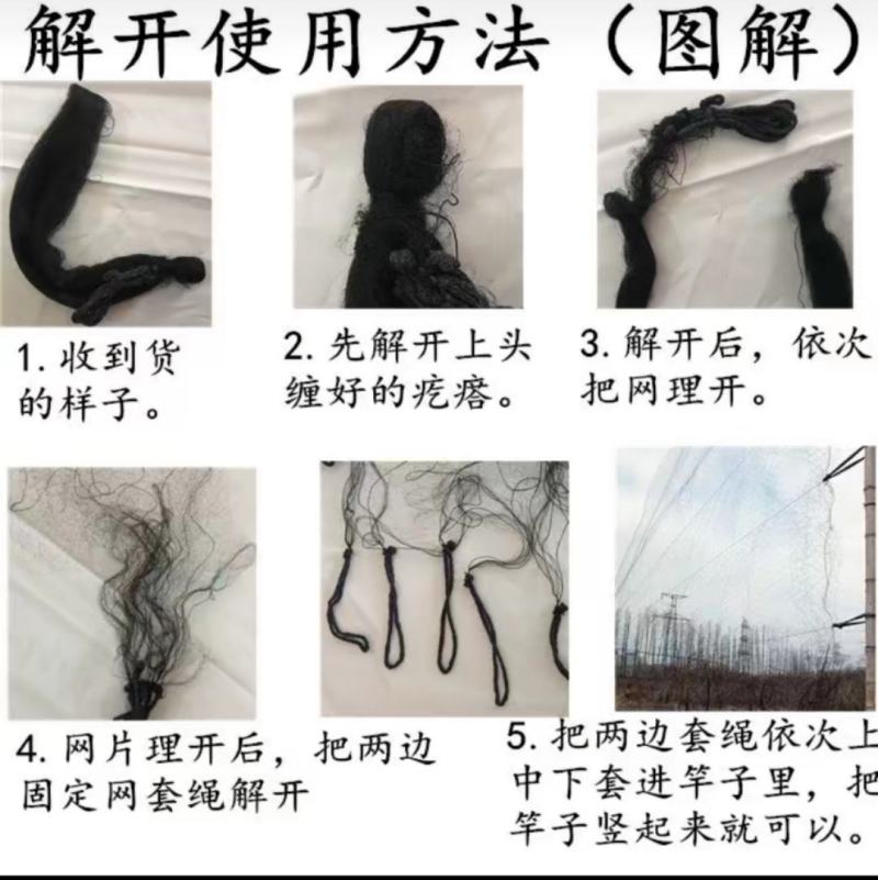 防鸟网果园黑色防鸟网尼龙斑鸠防鸽子