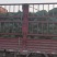 麦冬草丹麦草种植基地基地直发量大从优成欢迎来电