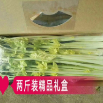 马家沟芹菜精品礼盒