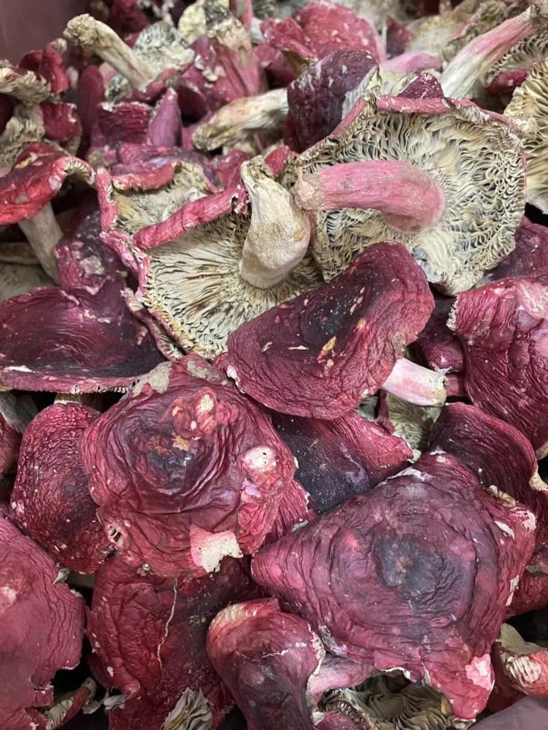 【包邮】福建红菇野生红菇三角菇小平开蓝底微开红菇