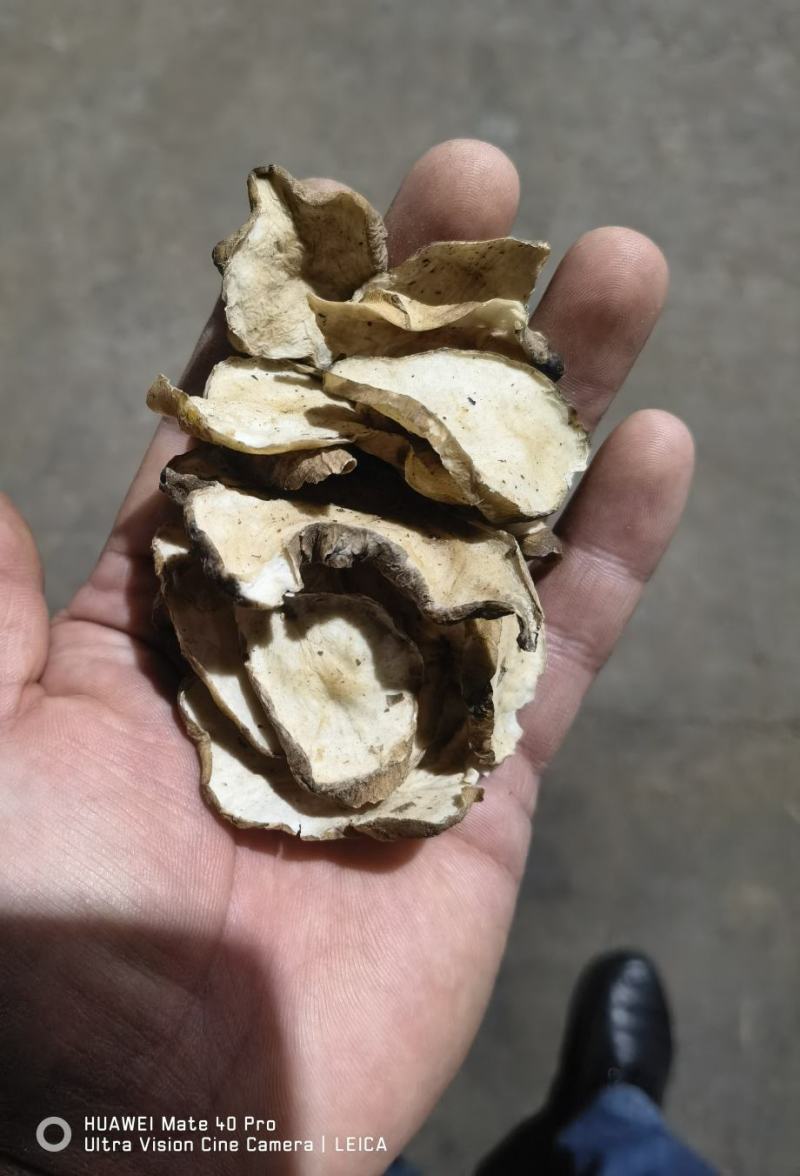 洋姜片，菊芋干片，厂家一手货源