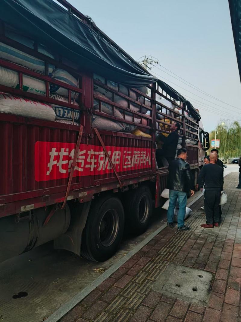 今年的核桃快要完满接触走货中
