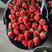 妙香草莓大量上市，产地直发，量大从优，对接商超，全国发货