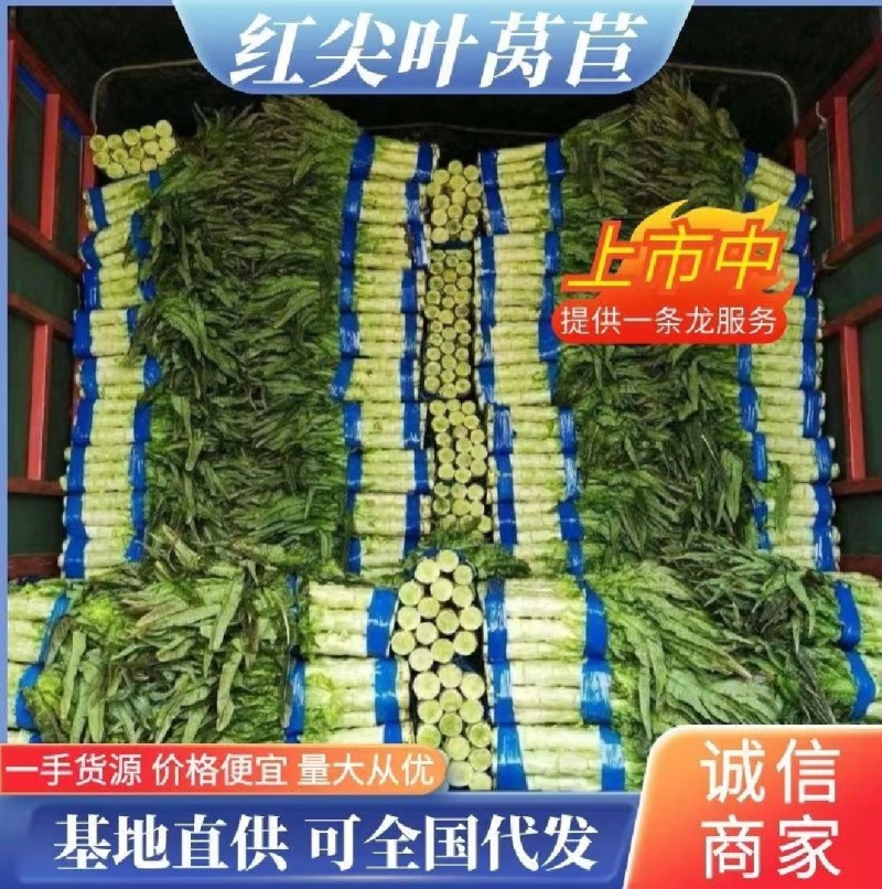 红叶莴笋，产地直销，价格实惠，量大从优，支持电商
