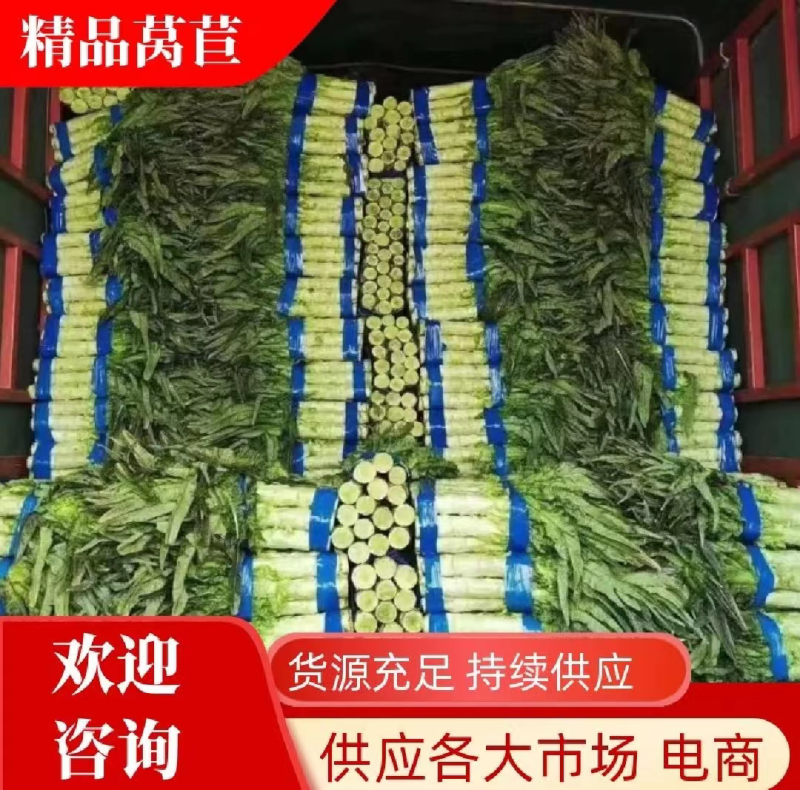 红叶莴笋，莴苣，产地直发，视频看货，量大从优，规格齐全