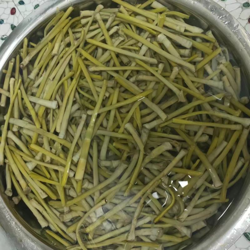 新鲜芦苇笋湖南沅江芦苇笋量大从优现摘现发欢迎联系