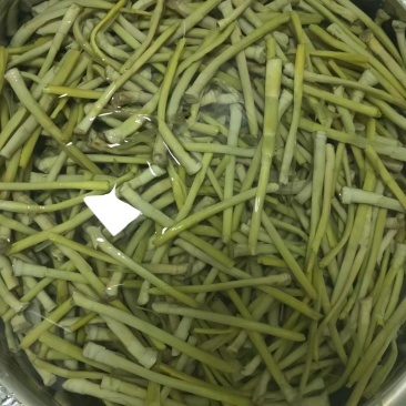 新鲜芦苇笋湖南沅江芦苇笋量大从优现摘现发欢迎联系