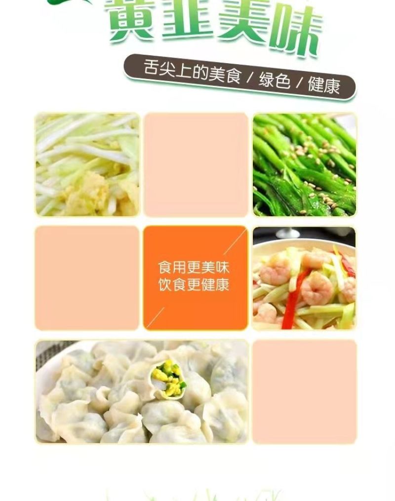 河北省南宫市黄韭盆景南宫特产