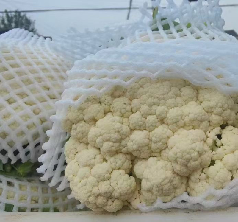 湖北精品散花菜大量供应产地直发现摘现发欢迎咨询