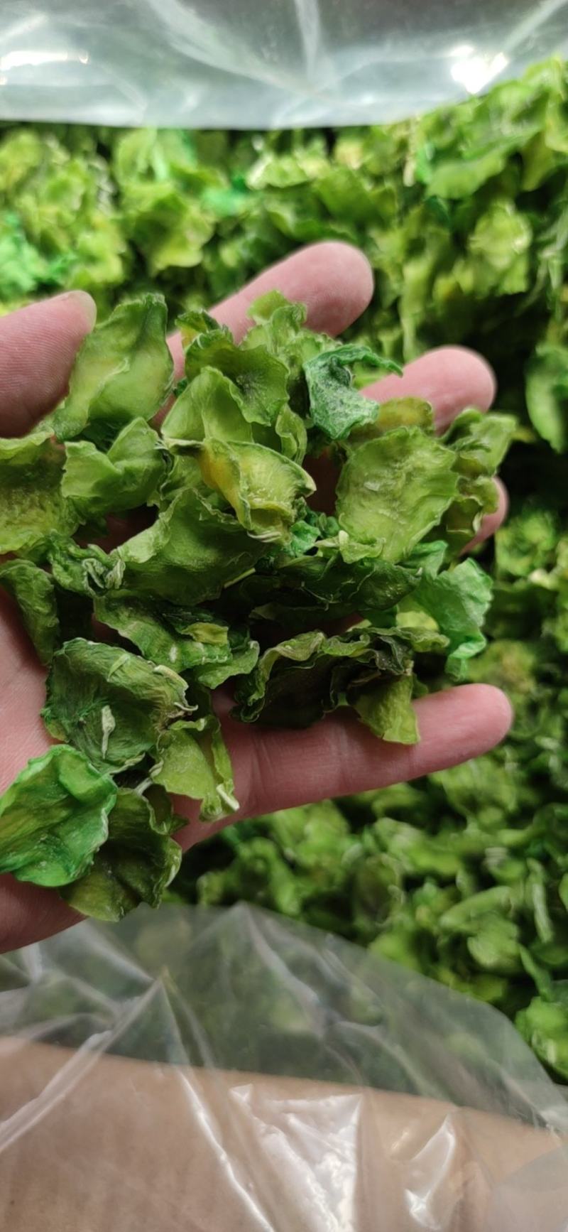 脱水莴笋片江苏基地直供质量保证一手货源欢迎订购