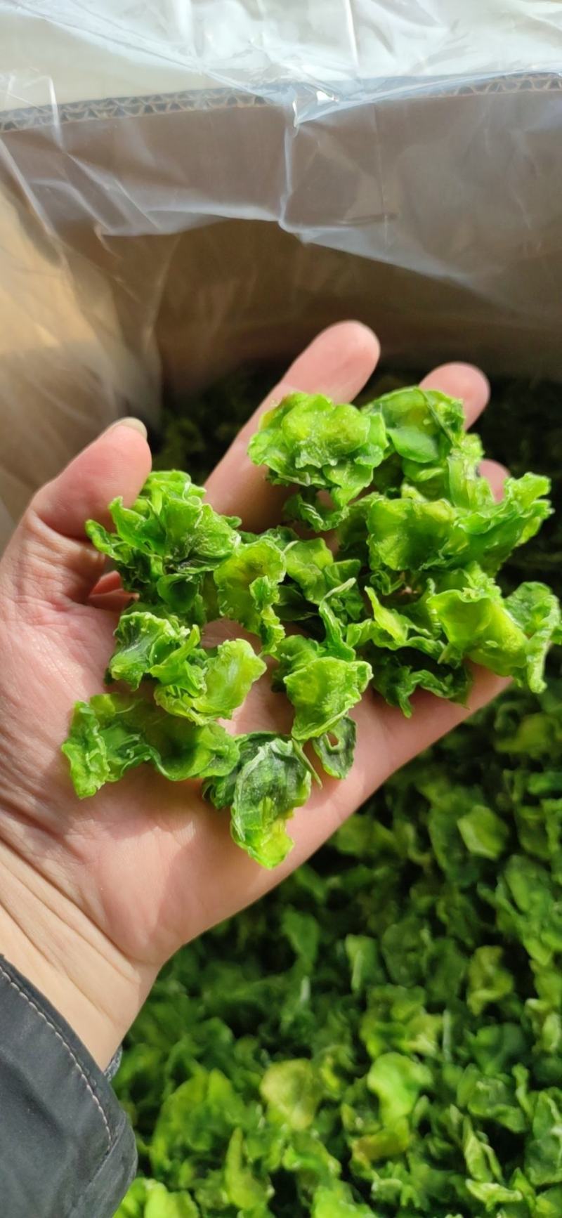 脱水莴笋片江苏基地直供质量保证一手货源欢迎订购