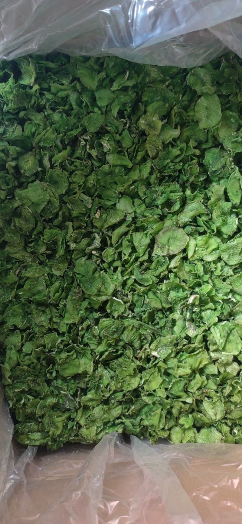脱水莴笋片江苏基地直供质量保证一手货源欢迎订购