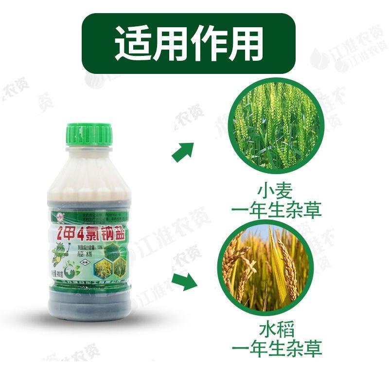 健谷13%二甲四氯钠2甲二钾4氯钠水稻小麦多种杂草阔叶草