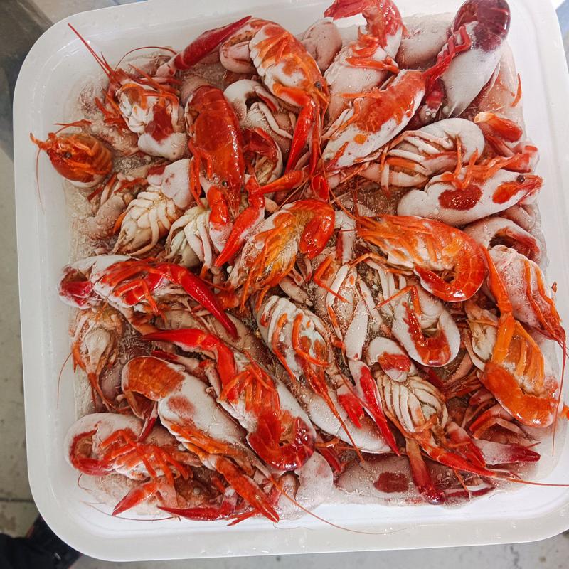 345清水虾，肉质q弹。价格性价比高。