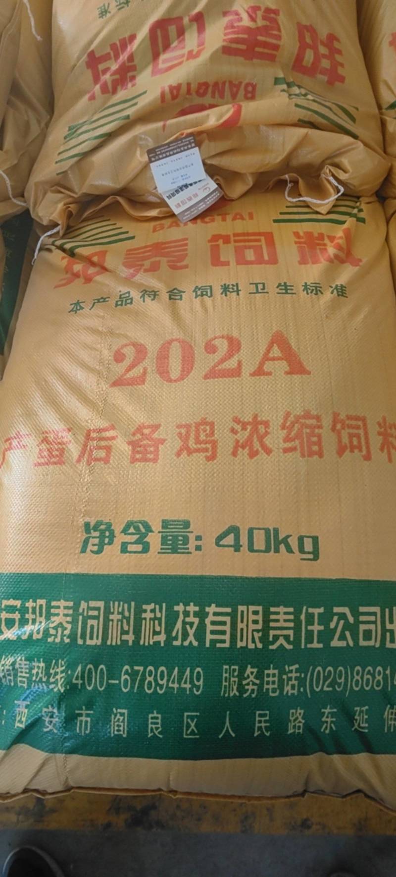产蛋后备鸡浓缩饲料，产蛋后备鸡浓缩202A饲料，浓缩饲料